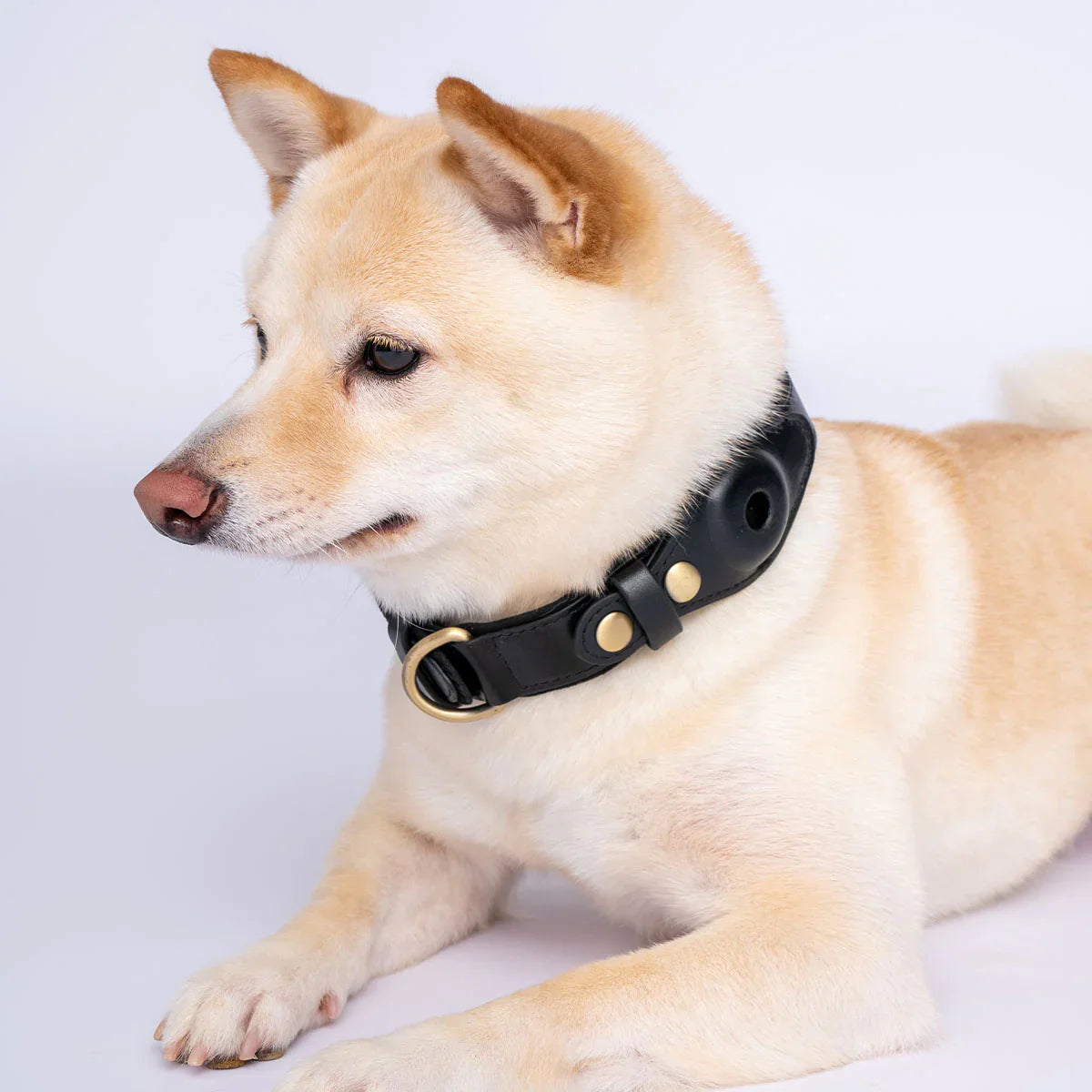 SmartTrack AirTag Halsband - Premium Leren GPS Halsband voor Honden