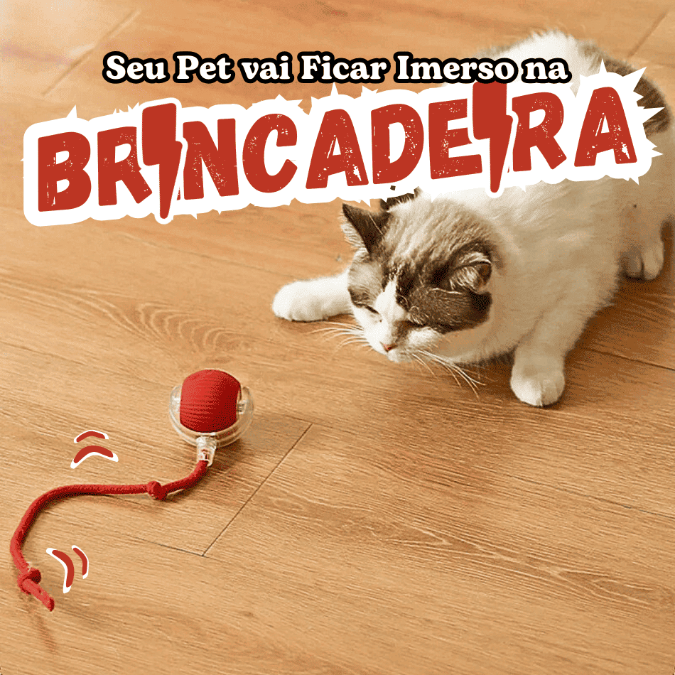 PawMotion Interactieve Speelbal – Slim Huisdieren Speelgoed voor Kat & Hond