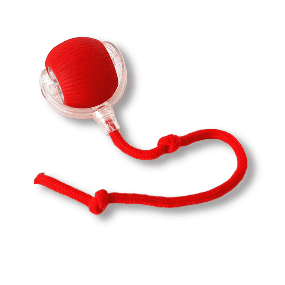 PawMotion Interactieve Speelbal – Slim Huisdieren Speelgoed voor Kat & Hond